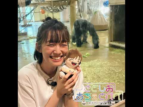 第77杯目 さとしおとシャバーニ