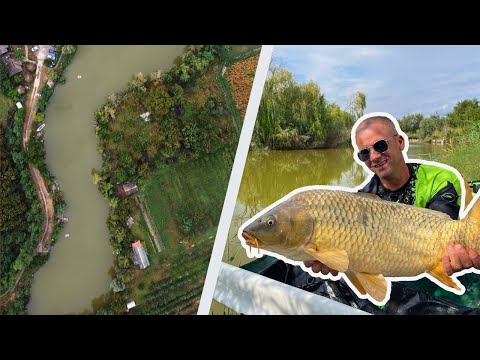 Darko Todosijević: Ultimativni Vodič za Početnike u Method Feeder Ribolovu - UŽIVO SA VODE