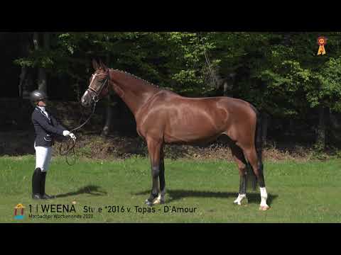 1 Weena v. Topas - D'Amour  *MARBACHER WOCHENENDE 2020*