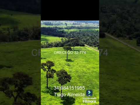 fazenda em nova bandeirantes MT