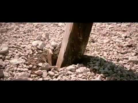 Yo Me Abrazo a la Vida-Daniel Calveti.mp4