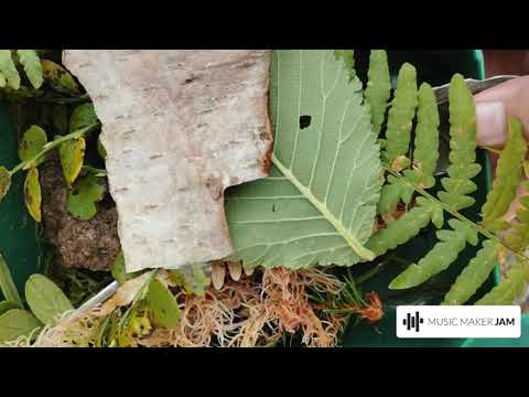 vennskap projekt 2 1 1