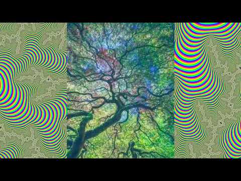 Tame Impala - Feels like we only go backwards