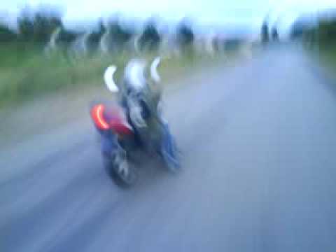 cedric et nono 61120