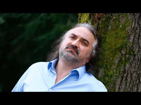 Volkan Konak  - Hastane önünde incir ağacı