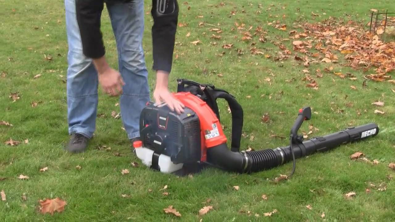 Souffleur à dos thermique PB770