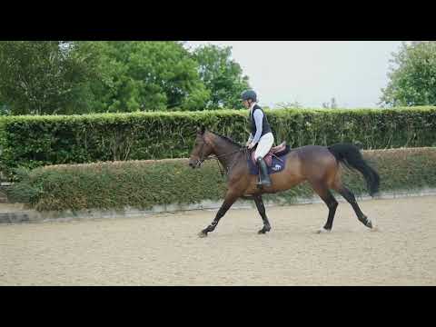 elamo eye candy jumping
