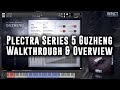 Plectra Series 5 Guzheng: Overview
