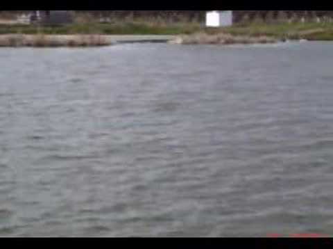 Lacul Chereusa - un loc ideal pentru pescuitul sportiv (7)