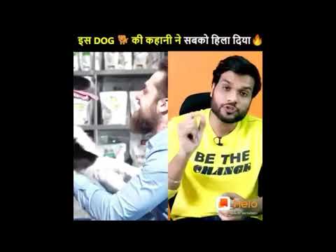 || dog ki kahani ne sabko hila diya ||