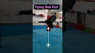 Switch Roundhouse Kick demonstration thumbnail