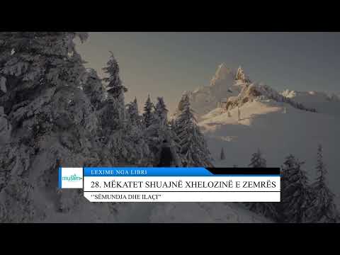 28. Mëkatet shuajnë xhelozinë e zemrës - Lexime nga libri: ''Sëmundja dhe ilaçi''