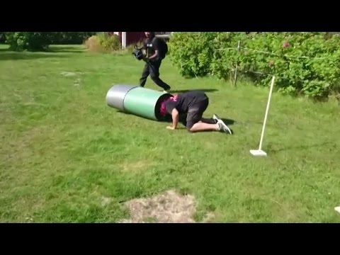 Johan provkör agilitybanan - Spring! (TV4)