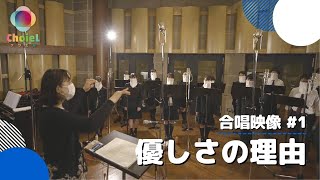 [閒聊] Lantis動畫歌合唱企劃-「ChoieL」啟動