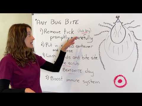 What To Do With A Tick Bite