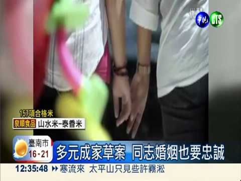 推動婚姻平權 多元成家3版本送修