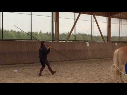 Ringstechen mit der Garrocha -  Working Equitation Staraktion Pferd International München 2017