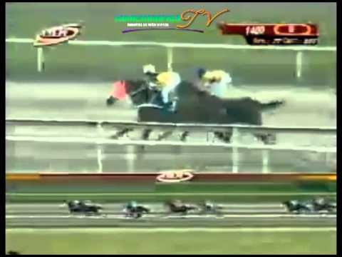 LA RINCONADA 8 CARRERA, DOMINGO 28 DE SEPTIEMBRE DEL 2014