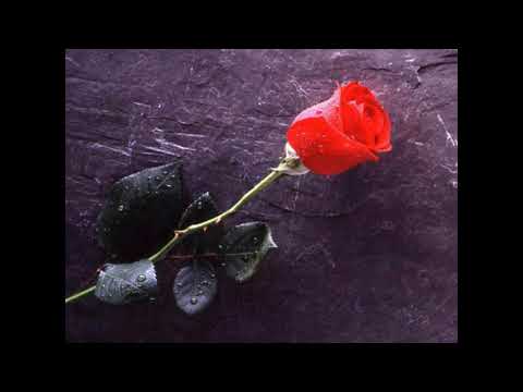 Malka Moma - Alexander Dennis ft Neli Andreeva