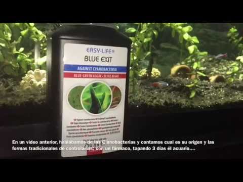 download lagu mp3 mp4 Blue Exit, download lagu Blue Exit gratis, unduh video klip Blue Exit