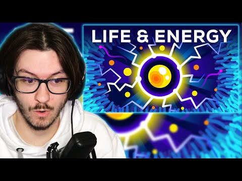 Daxellz Reacts to Why Are You Alive – Life, Energy & ATP