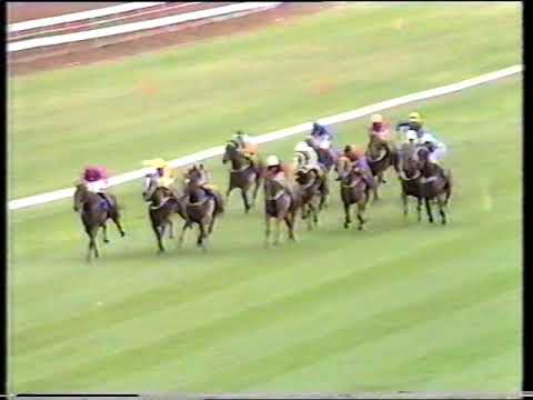 1991 Surround Stks
