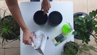 V&iacute;deo do produto