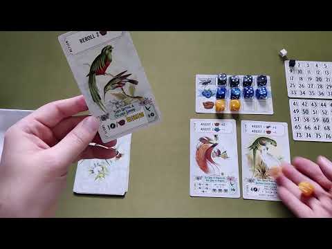 Bandada - How to Play [2-Player Game]