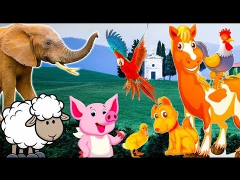 FARM ANIMALS SOUND WITHOUT MUSIC, for children and parent-cow mooing for kids