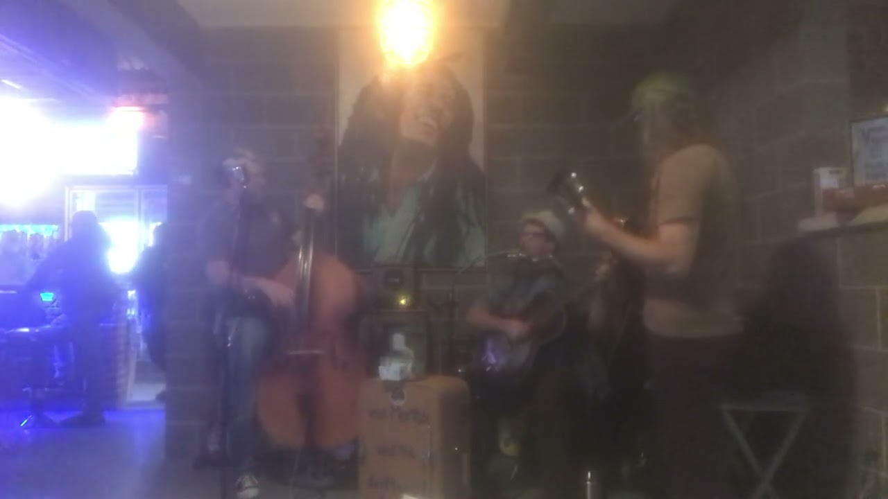 Promotional video thumbnail 2 for Van Mertsh and The Marshy Roots