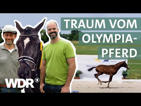 , title : 'Seltene Schafe und preisgekrönte Fohlen im Münsterland | Unsere eigene Farm | WDR'