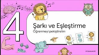DCN TV