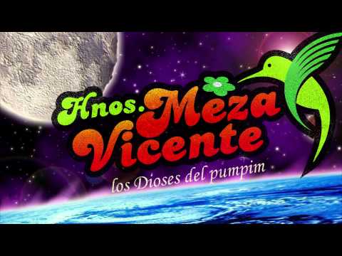 HNOS MEZA VICENTE Ñawichallayki PUM PIN FAJARDINO