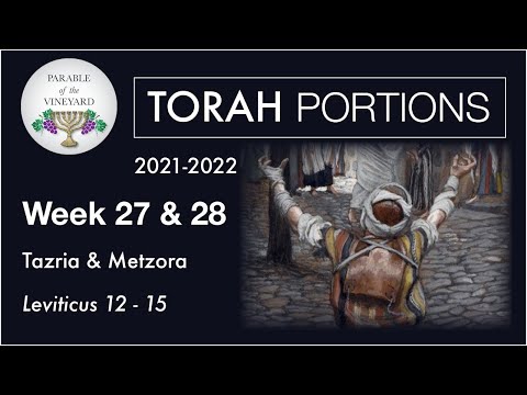 Torah Portions - Week 27 & 28 -  Tazria & Metzora - Leviticus 12 -15 (2021-2022)