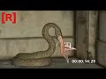 Snake Eats The Girl Anaconda Eats A Girl Alive Python Snake Eats Drunk Man In India Kalakusumalu