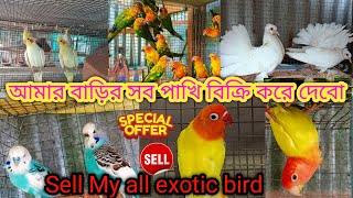 আমার Setup এর কিছু পাখী Sell করে দেবো | Exotic Birds sell In My Bird Setup | #birdsell #birdsetup