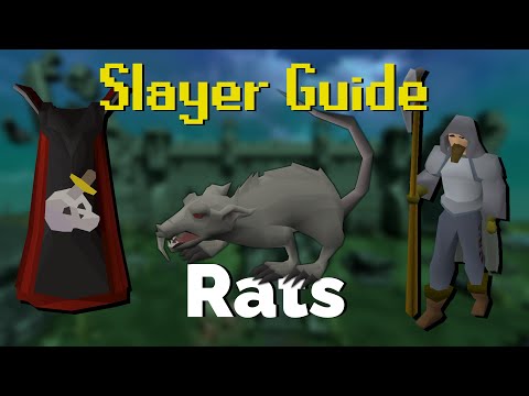 Rats Osrs