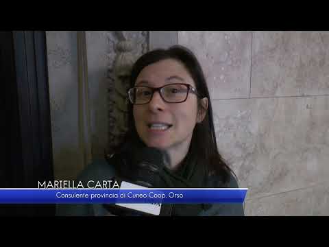 Servizio civile: tutto ciò che serve sapere - TELEGRANDA (ch 81)