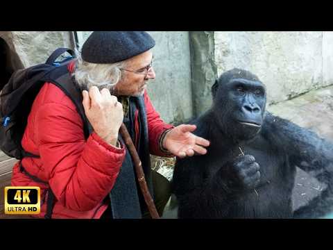 When Animals Catch Humans by Surprise in the Most Hilarious Ways 🤪