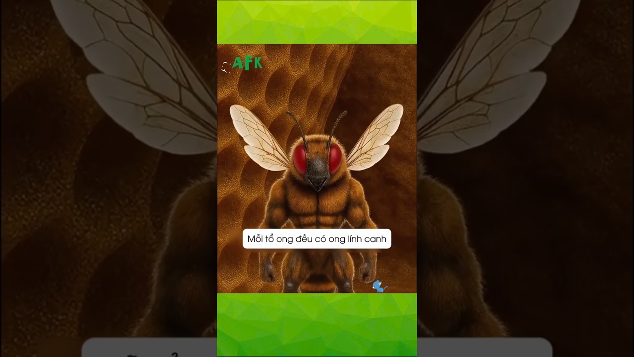 Ong say rượu sẽ như thế nào?