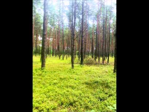 TZWM - Kiedy to było