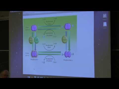 Kevin Ahern's BB 350 2014 - Review Session