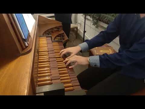 Serikat Persaudaraan (Kidung Jemaat | KJ 249) - Organ Pipa GPIB Paulus Jakarta