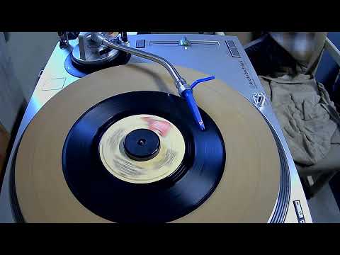 Disco Duck ~ Rick Dees and his Cast Of Idiots ~ 1976 ~ Styrene