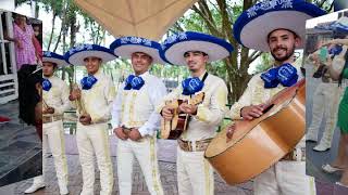 Video de Mariachi Alma Llanera