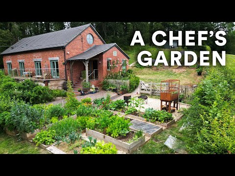 Tiny Yard Container Garden How to Grow 1 000 of Food