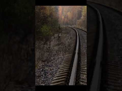 [Quinhentas Milhas] Quinhentas Milhas é onde estou, New Taipei City Yonghe District Yongping Country Middle School A primeira música antiga em inglês Bom crescimento crescimento #sabedoria em pé #Linha peça famosa #Peça super famosa #Lingzhi 咖啡