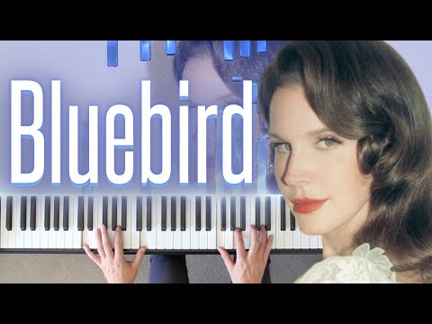 Blue Bird – Lana Del Rey | Intermediate Piano Cover by Dylan Ondine