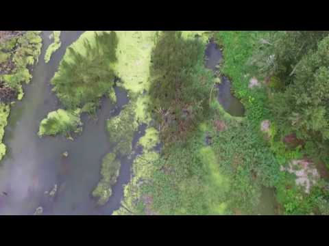 Oltul Vechi - Comuna Curtisoara - Olt