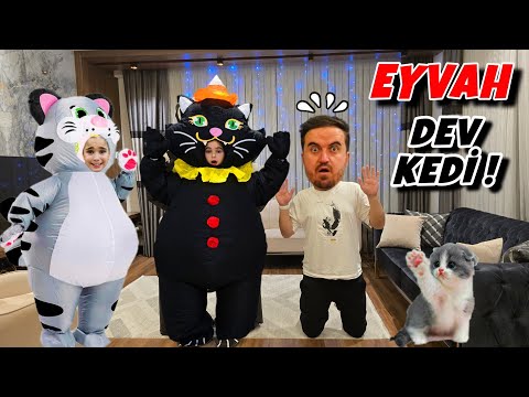 ELİF SİNEM BÜCÜR KAÇTI DEV KEDİYİ ÇAĞIRDI ‼️ EYVAH KEDİ DÜŞTÜ !!